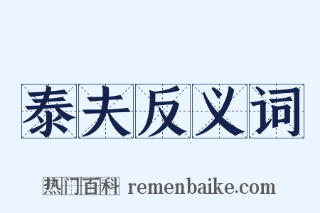 泰夫反义词是什么意思的图片